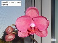 DSCN8199.JPG