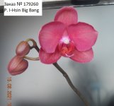 DSCN8200.JPG