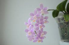 DSC_0062_01.jpg