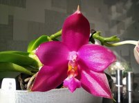 IMG_20210819_094444.jpg