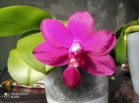 IMG_20210819_094502.jpg