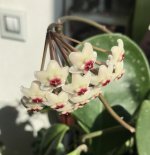 959B4883-024D-4BC8-89F9-D250C8D4F450.jpeg