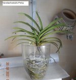 DSCN8203.JPG