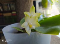 IMG_20210822_123551.jpg