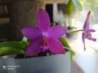IMG_20210822_123732.jpg