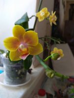 IMG_20210823_142648.jpg