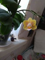 IMG_20210823_142657.jpg