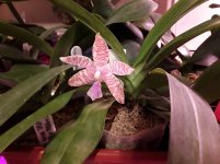 20210210_074324.jpg