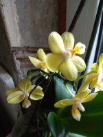 IMG_20210824_143837.jpg