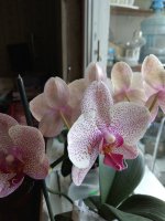 IMG_20210824_143713.jpg