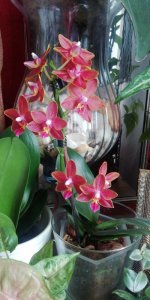 IMG-20210729-WA0062.jpeg