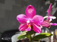 IMG_20210827_095121.jpg