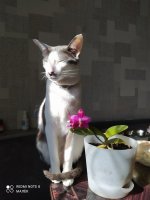 IMG_20210827_095152.jpg