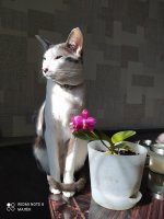 IMG_20210827_095224.jpg