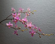 IMG_3200.jpg