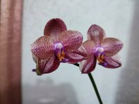 IMG_20210821_215118.jpg