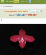 C58CEA59-6667-4CE7-8ABD-DB9711AA0594.jpeg