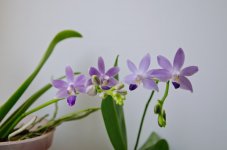 DSC_0083.jpg