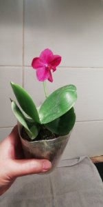 IMG-20210830-WA0071.jpeg