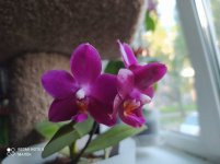 IMG_20210905_175819.jpg