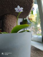 IMG_20210905_180337.jpg