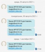 Screenshot_20210907-192101.jpg
