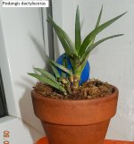 DSCN8222.JPG