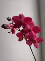 IMG_20210912_091157.jpg