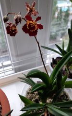 20210910_065019.jpg