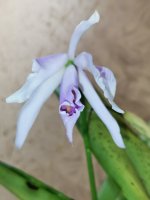IMG_20210919_140119.jpg