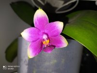 IMG_20210921_202209.jpg
