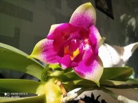 IMG_20210824_094959.jpg