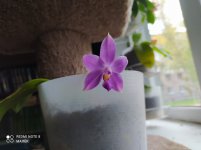 IMG_20210922_095123.jpg