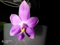 IMG_20210924_215250.jpg