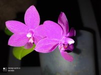 IMG_20210924_215444.jpg