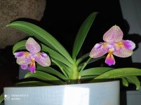 IMG_20210924_215544.jpg