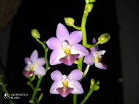 IMG_20210924_215647.jpg