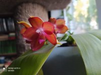 IMG_20210905_175952.jpg
