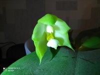 IMG_20210926_003209.jpg