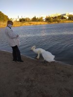IMG_20210927_173703.jpg