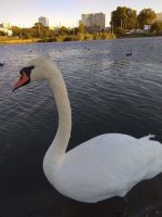 IMG_20210927_173853.jpg