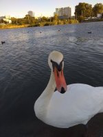 IMG_20210927_173855.jpg