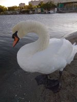 IMG_20210927_173921.jpg