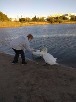 IMG_20210927_173658.jpg