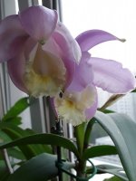 20210929_063526.jpg