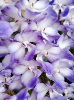 IMG_20210923_125010.jpg