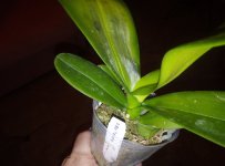 IMG_20210930_172011.jpg