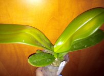 IMG_20210930_172208.jpg