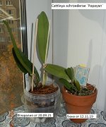 DSCN8248.JPG