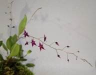 IMG_20210919_235226~2.jpg